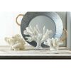 Accent Plus Tabletop Coral Decor