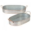 Accent Plus Galvanized Metal Oblong Tray Set