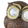 Accent Plus Owl Solar Garden Light - 6 inches