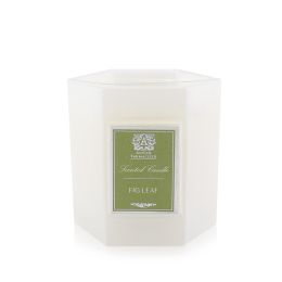 ANTICA FARMACISTA - Candle - Fig Leaf 255g/9oz