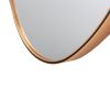 35 Inch Oval Hanging Accent Wall Mirror with Metal Frame; Matte Gold; DunaWest