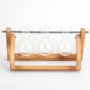 Desktop Glass Planter Bulb Plant Terrarium with Wooden Stand