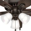 Hunter Fan Newsome Ceiling Fan