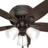 Hunter Fan Newsome Ceiling Fan