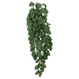 Komodo TwoToned Leaf Hanging Plant 1ea/LG, 26 in