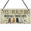 1Pcs Wooden Hanging Pendant Tags Cute Cat Pets Carved Door Tag Friendship Sign Cat Lovers